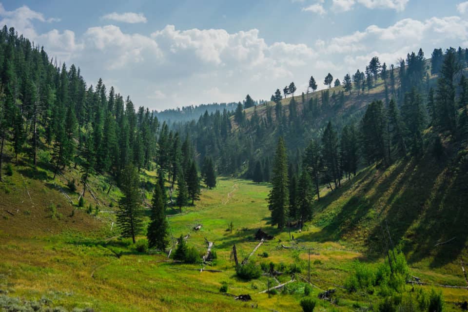 Yellowstone National Park