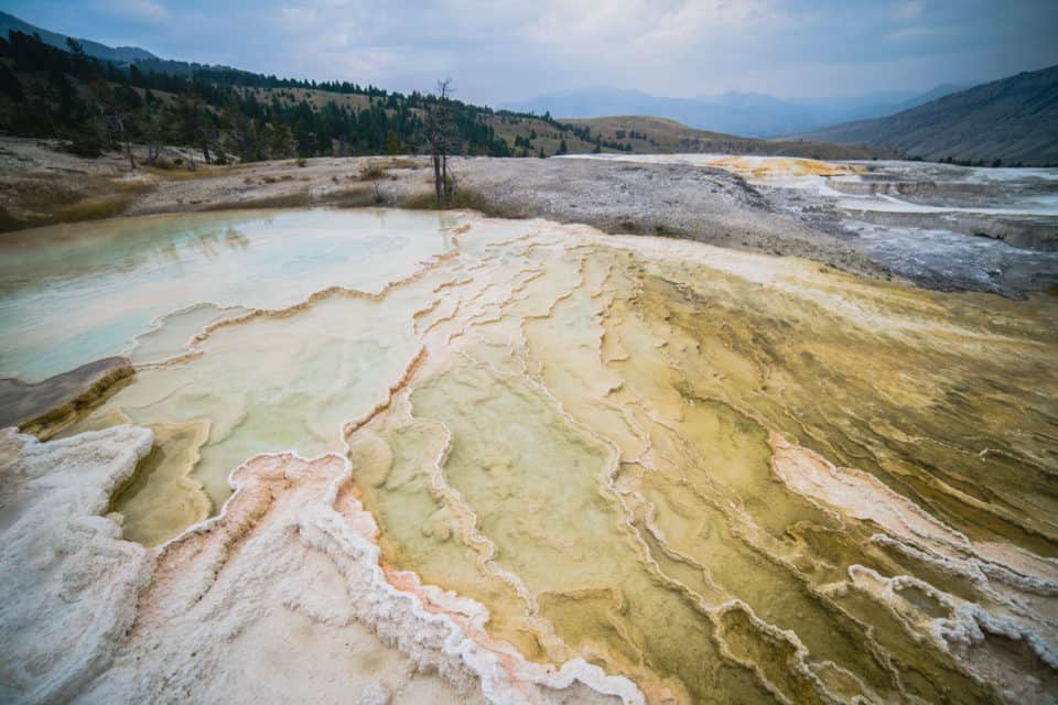 Mammoth Hot Springs