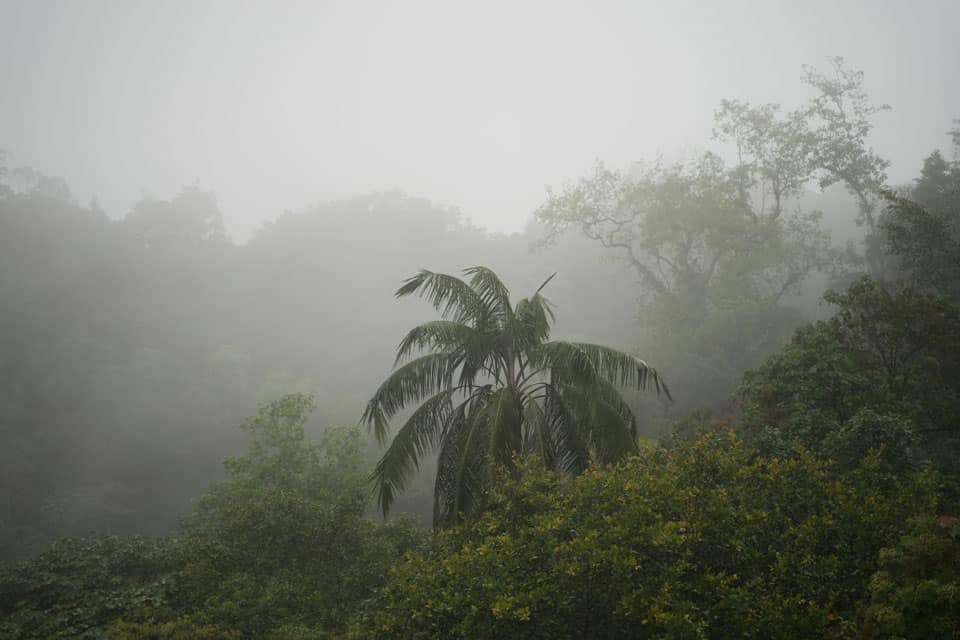 Mindo-Ecuador-1 tarabita