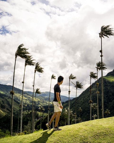 Valle-de-Cocora-Salento