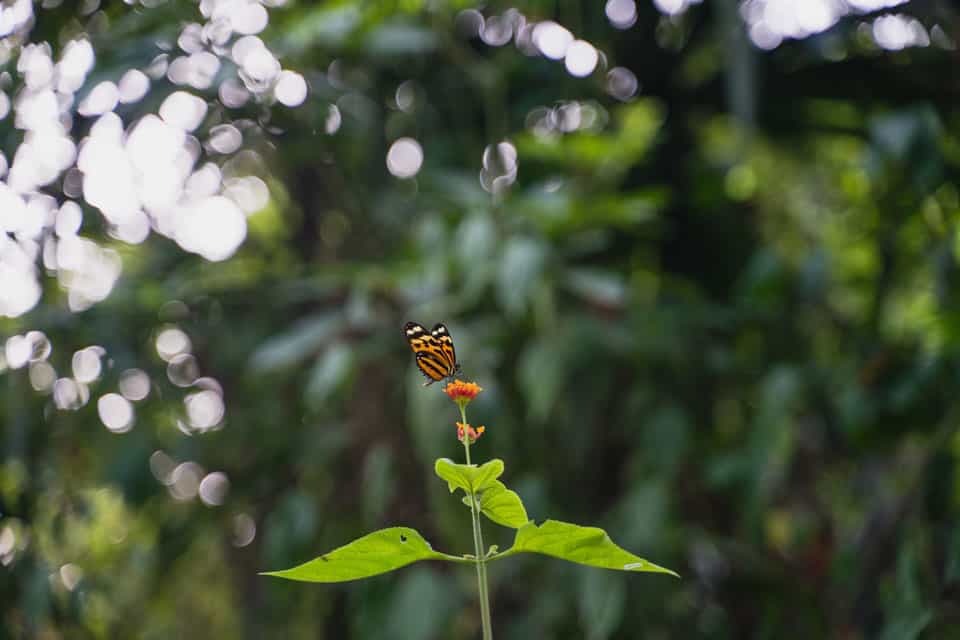 Tayrona-National-Park-2