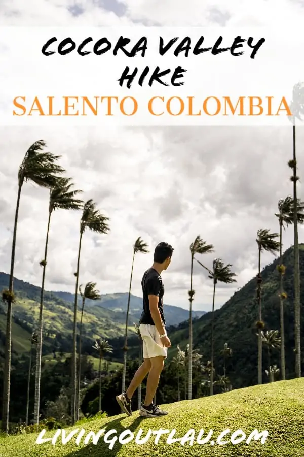 Cocora-Valley-Hike-Colombia-Pinterest