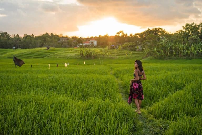 A PERFECT 10-Day Bali Itinerary: Complete Travel Guide