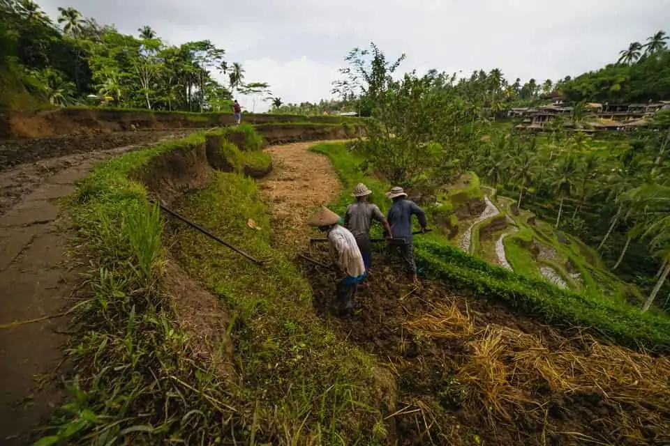 best travel itinerary for bali best travel itinerary for bali