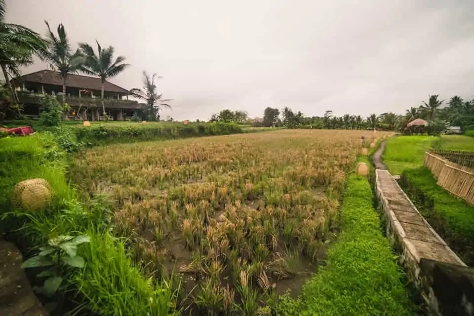 best travel itinerary for bali