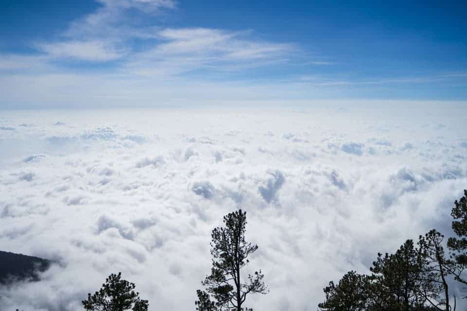 Volcano-Acatenango-Hike-5-min