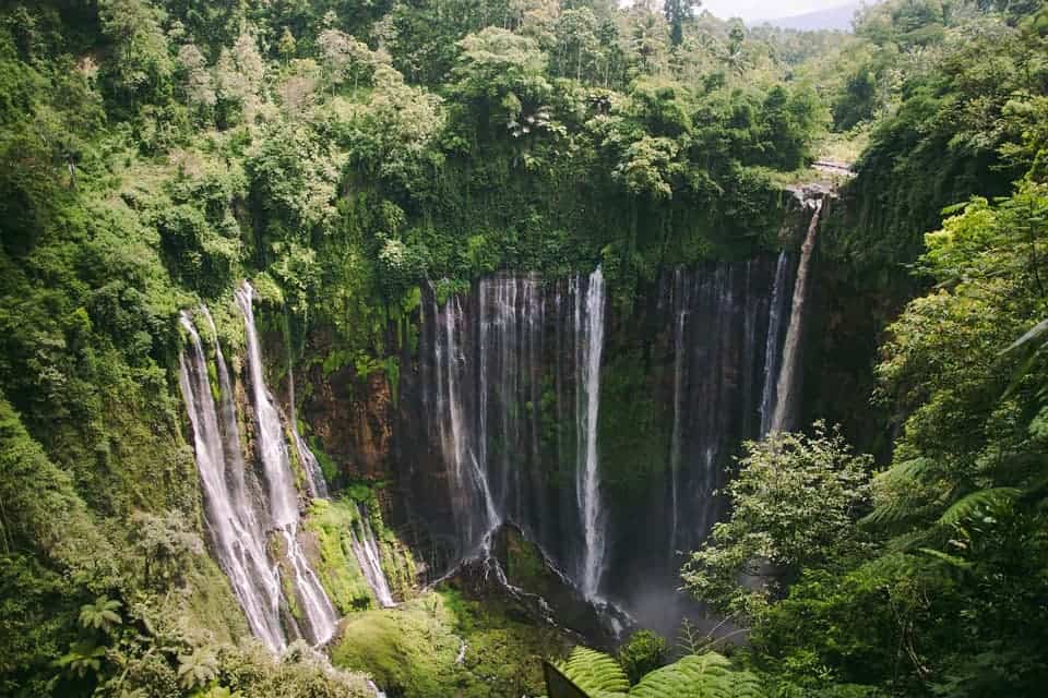 tumpak sewu east java