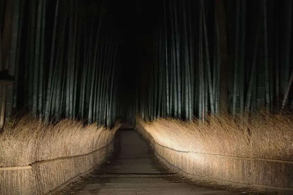 Kyoto-Arashiyama-Bamboo-Forest-At-Night