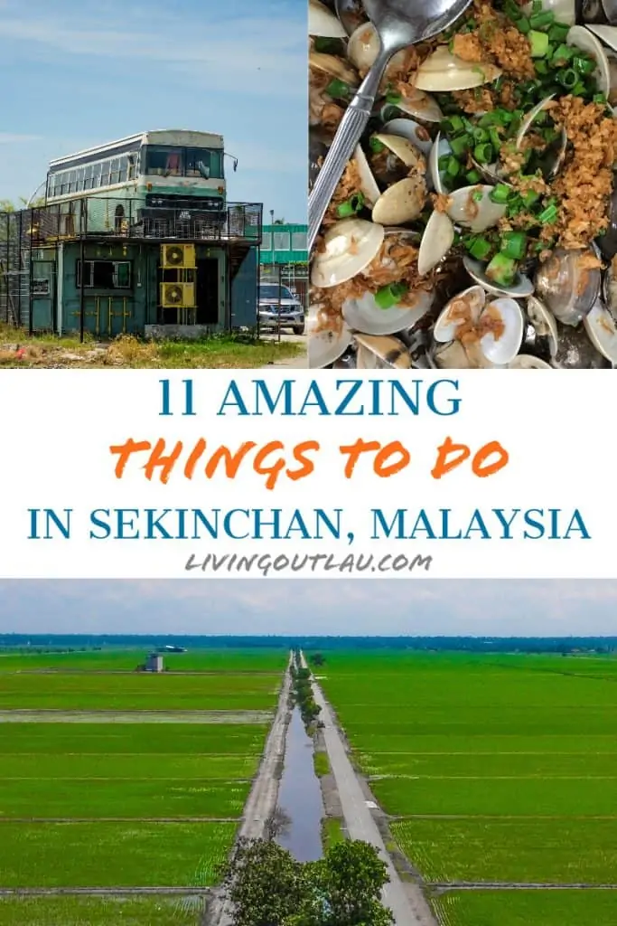 Things To Do in Sekinchan Pinterest
