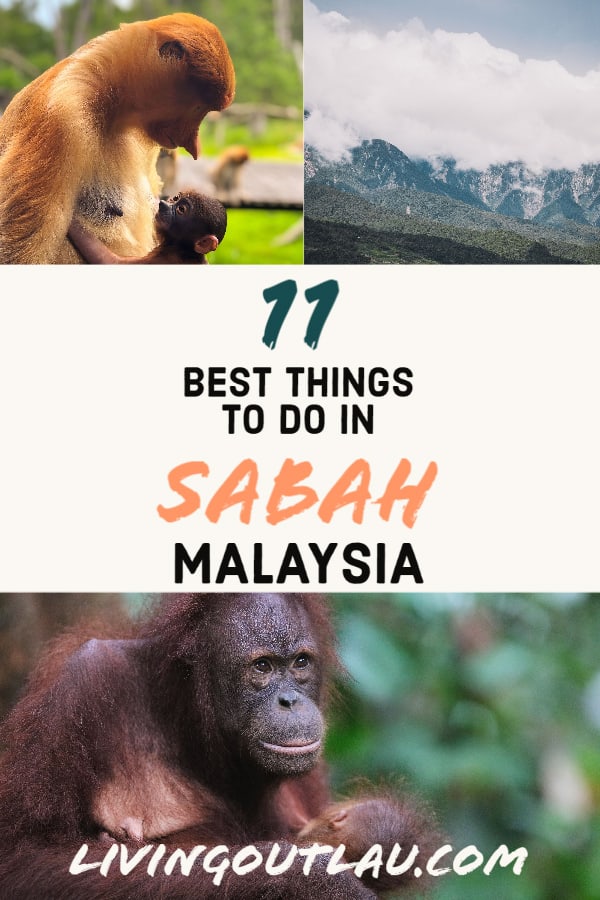 Things-To-Do-in-Sabah-Malaysia-Pinterest