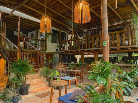 Where To Stay In Mindo