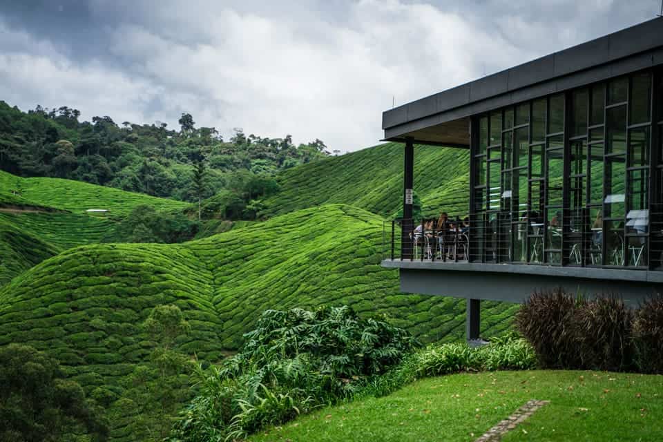 Malaysia Cameron Highland Retreat Trip Ix Boh Sungai Palas Tea Centre Aroma Asian