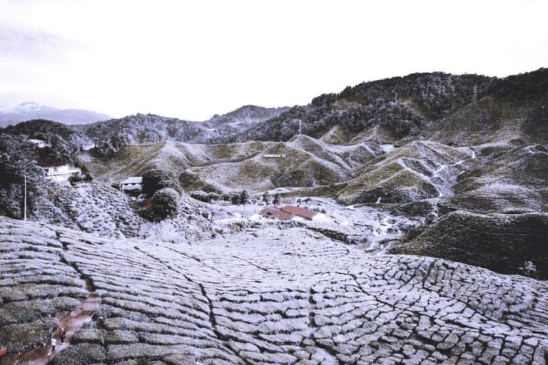 snow in cameron highlands