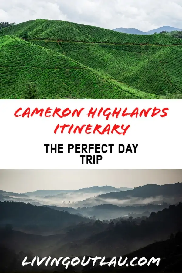 Cameron-highlands-day-trip