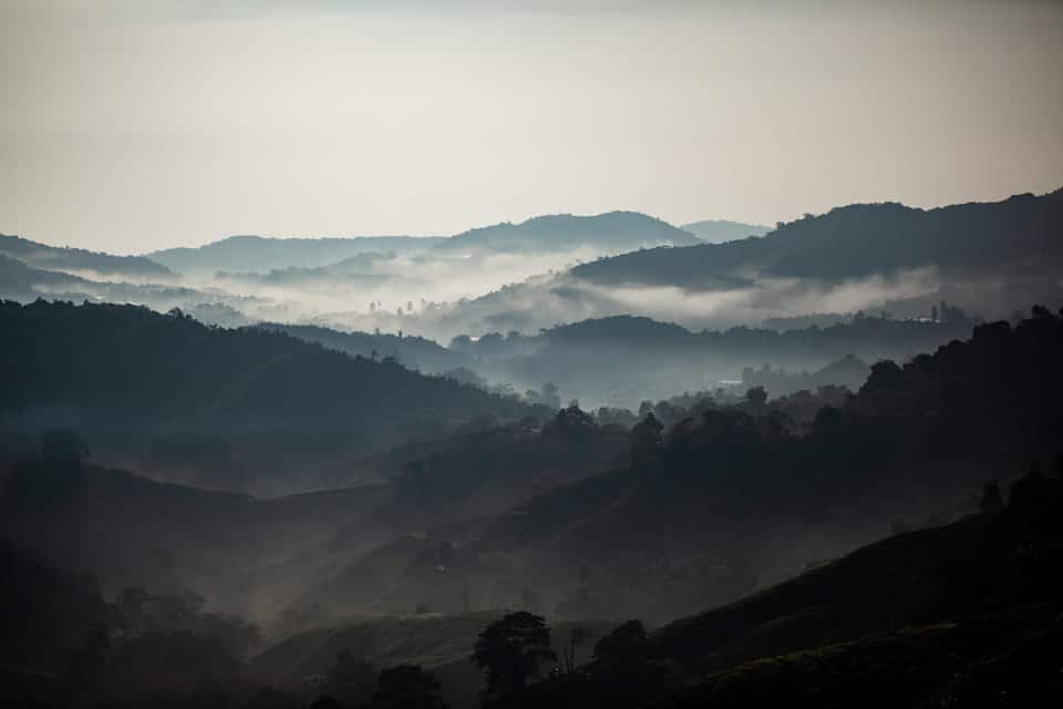 Mount-Brinchang-Sightseeing-in-Cameron-Highlands