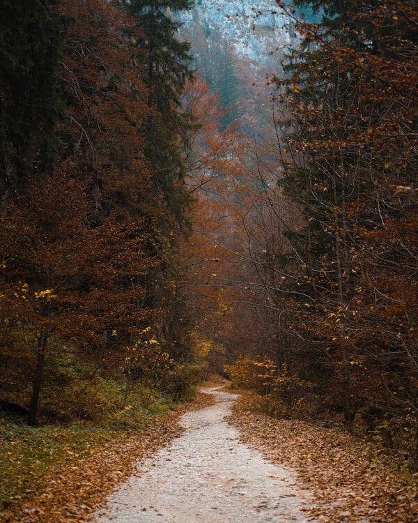 Hiking-in-Brasov