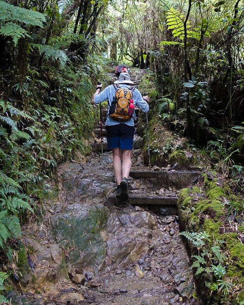 Start-of-Mount-Kinabalu-Hike