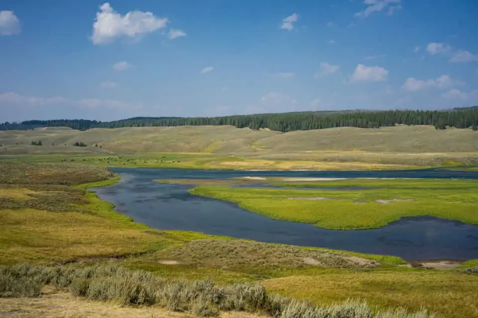 Hayden-Valley-Yellowstone