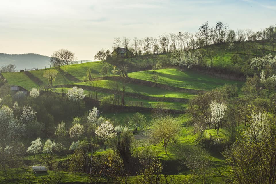 Spring-In-Romania