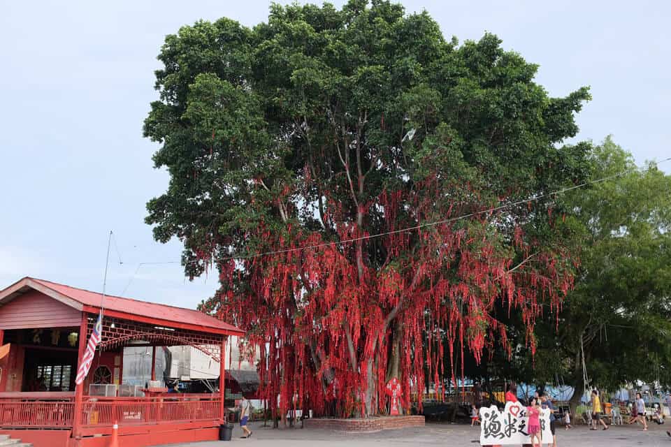 Wishing-Tree-Sekinchan