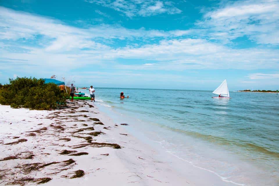 Honeymoon Island Florida Warm Places In December USA