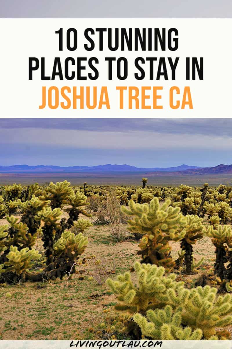 Joshua Tree Airbnb Pinterest