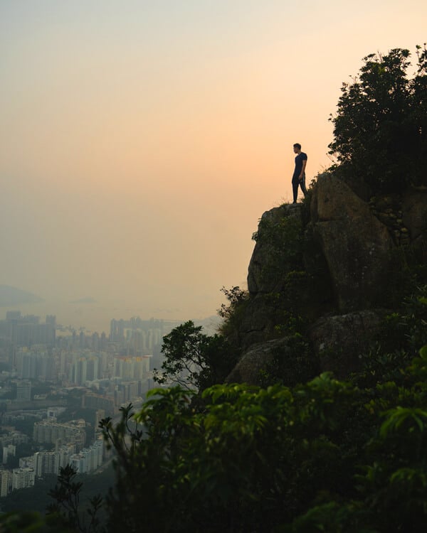 Lion Rock Head Photo