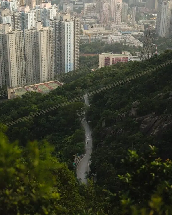 Lion Rock HongKong Hike