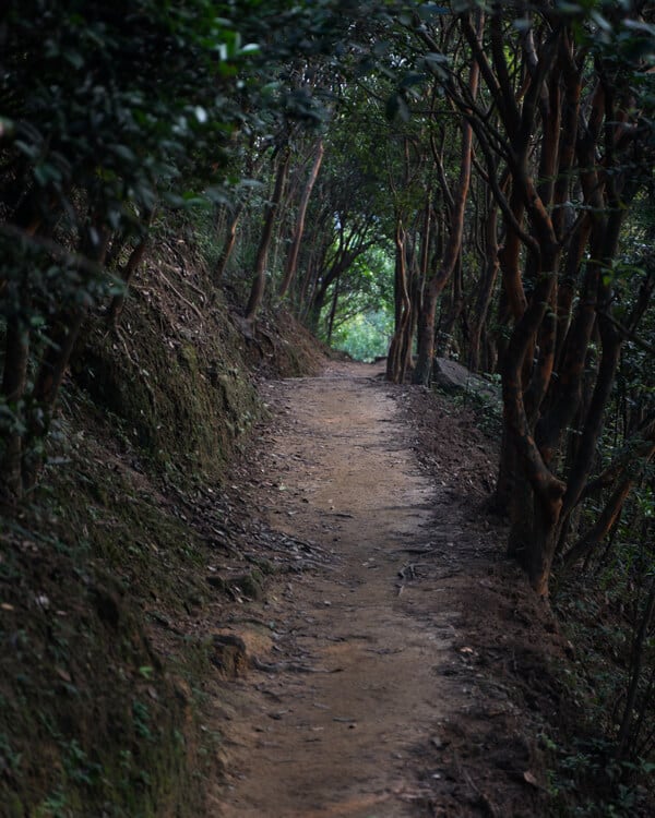 Lion Rock Mountain Hiking Trail