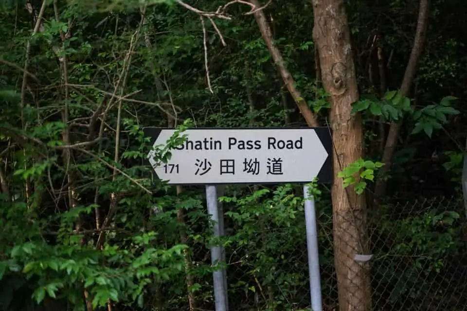 Shatin-Pass-Road-To-Lion-Rock-Park