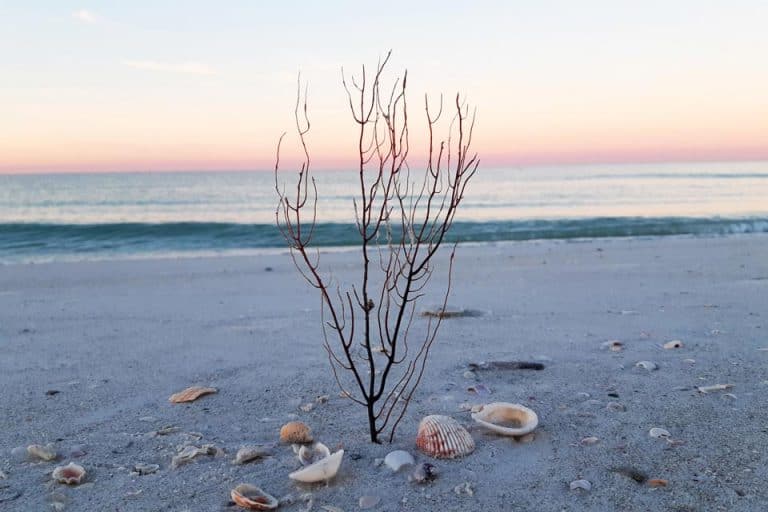 30 AMAZING Warm Places To Visit In December In USA [2024 Edition] LivingOutLau