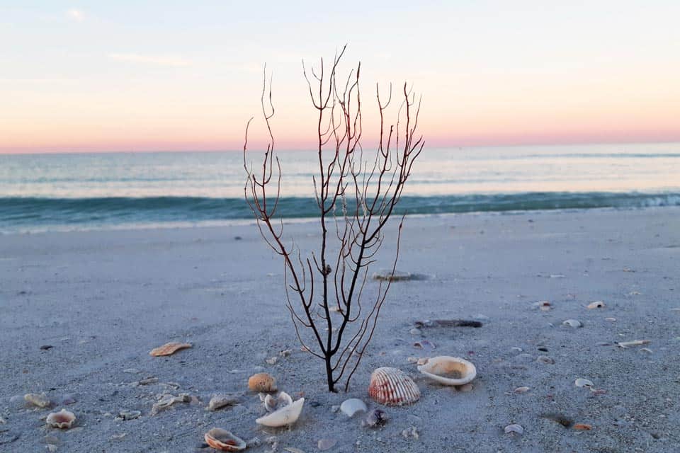 St. Petersburg Florida Warm Winter Getaways In US