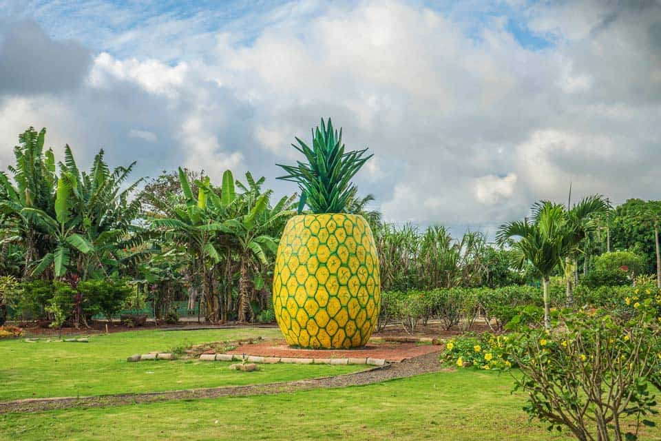 Dole-Plantation-Activity-North-Shore-kids