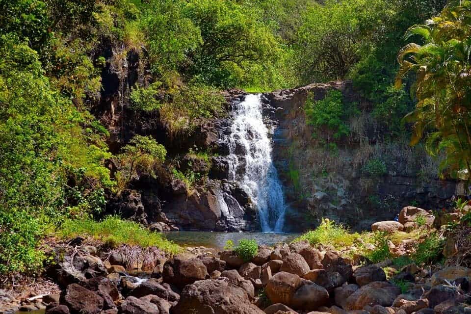 Waimea Valley North Shore Oahu