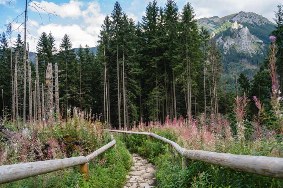 Hiking In Zakopane