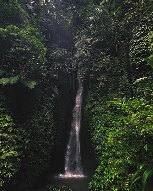 Leke Leke Waterfall In Ubud Bali