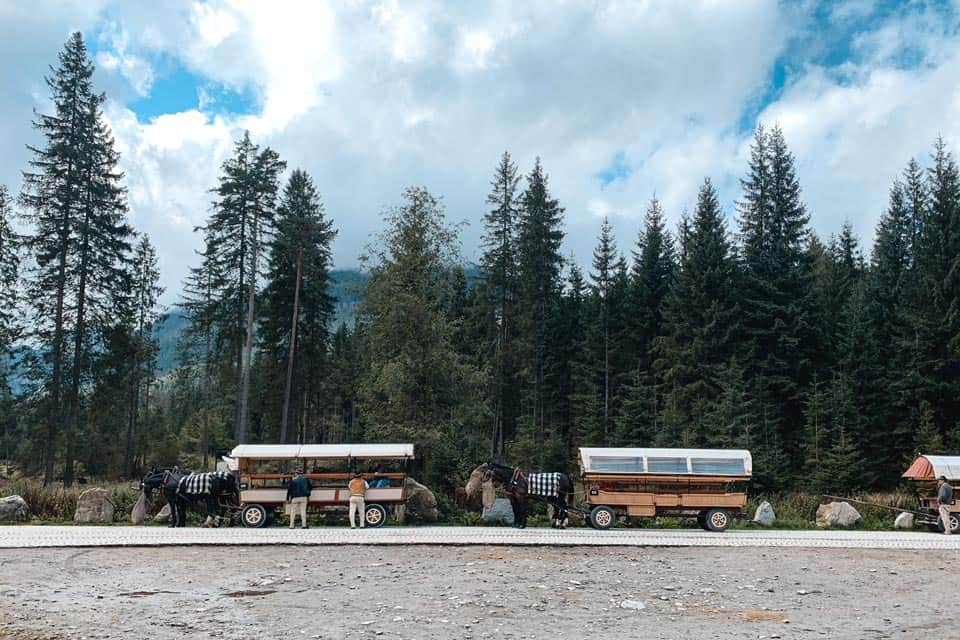 Morskie Oko Bus