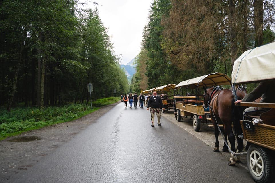 Morskie Oko Horse Carriage