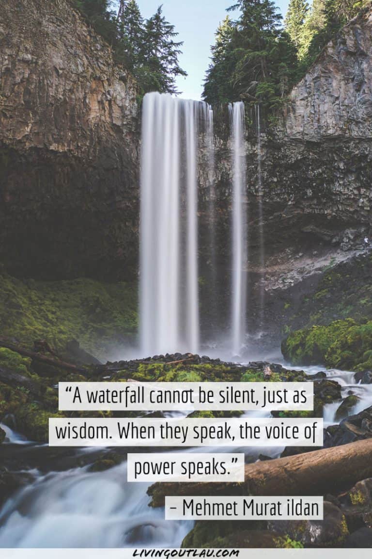 100+ Incredible Waterfall Quotes To Captivate Your Audience! LivingOutLau