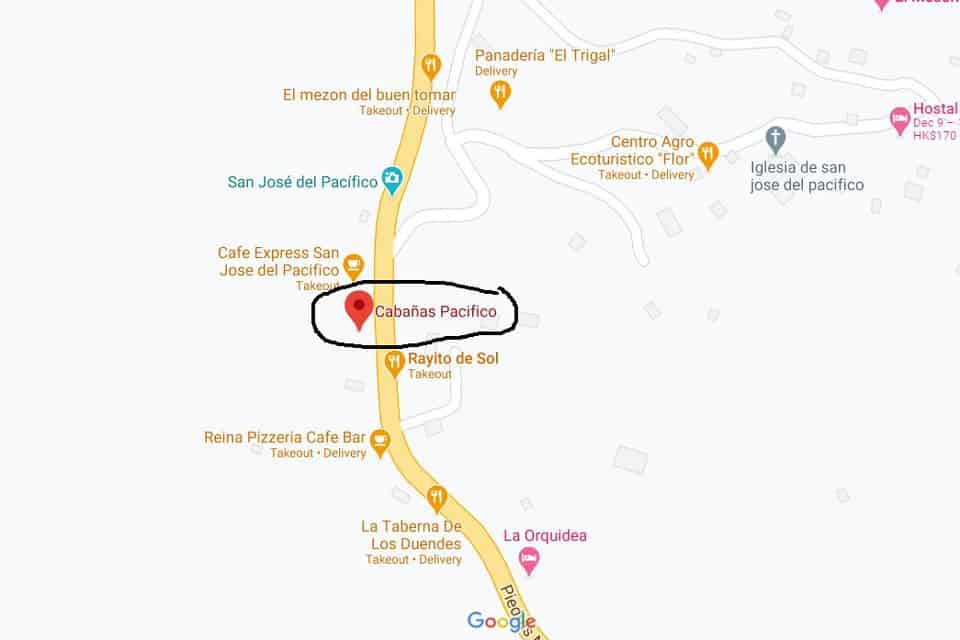 Where To Find Magic Mushrooms Hongos In San Jose Del Pacifico