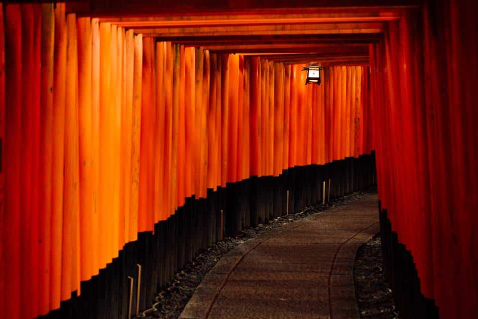 Fushimi-Inari-Shrine-at-Night