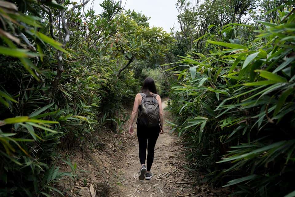 Hiking Twins Peak HK