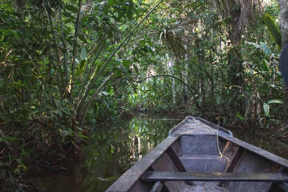 Puerto Maldonado Peru