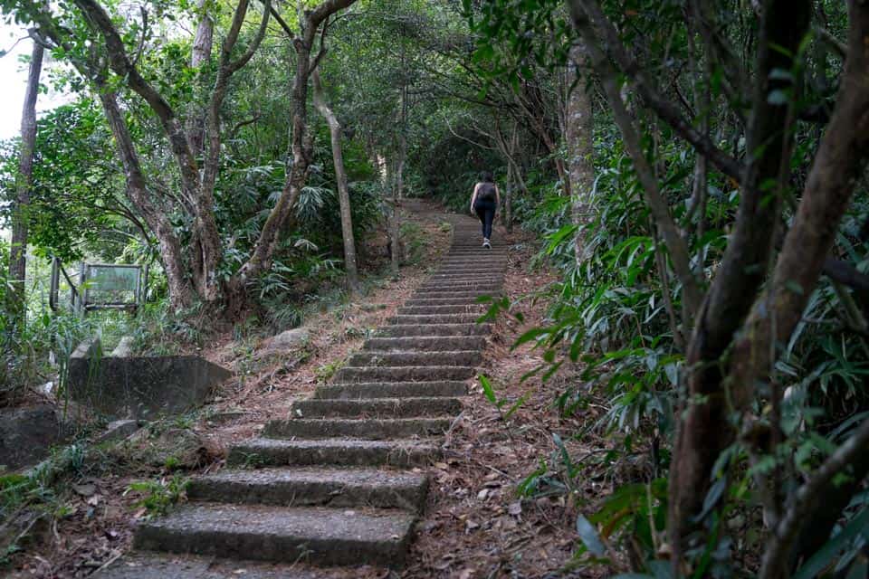 Steps on Violet-Hill