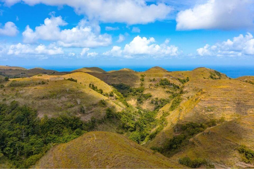 Teletubbies Hill Treehouse Nusa Penida