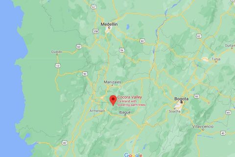 Hiking Cocora Valley, Colombia: Tips + FAQs Answered - LivingOutLau