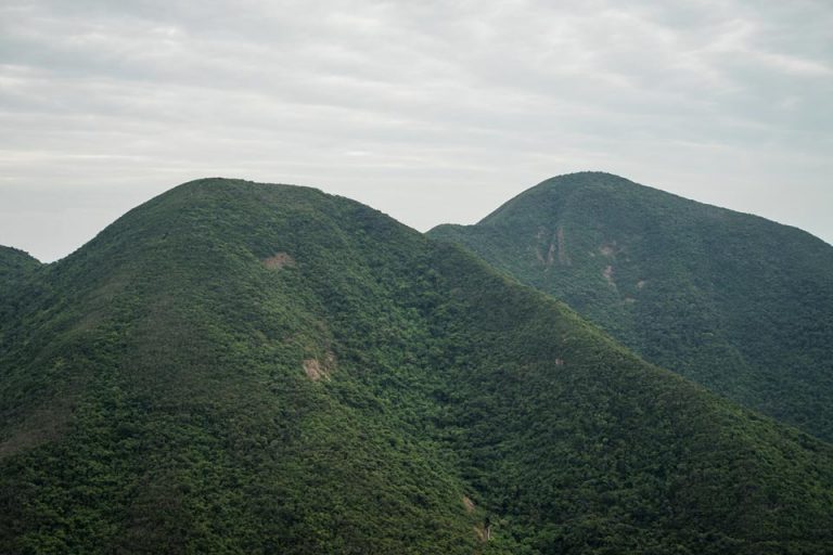 Violet Hill Hike & Twin Peaks Hike (Wilson Trail Section 1), Hong Kong