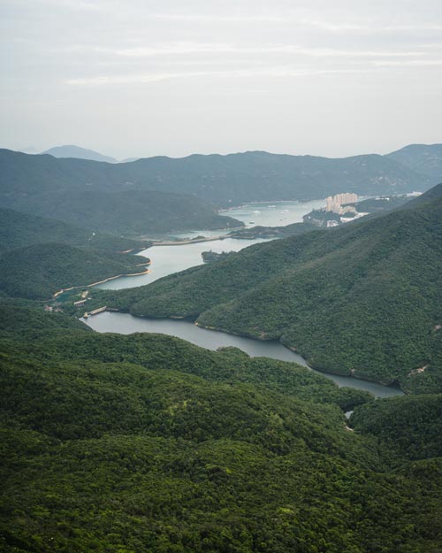 Violet Hill Tai Tam Reservoir