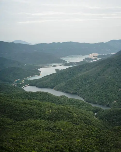 Violet Hill Tai Tam Reservoir