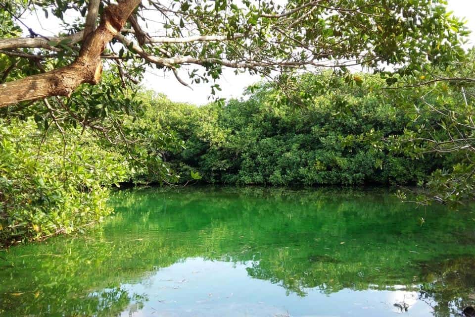 Casa Cenote Tulum